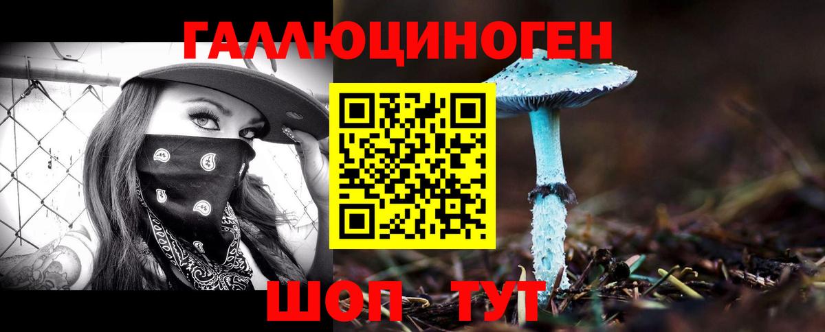 Киров  Псилоцибиновые грибы MAGIC MUSHROOMS  Вход с VPN 